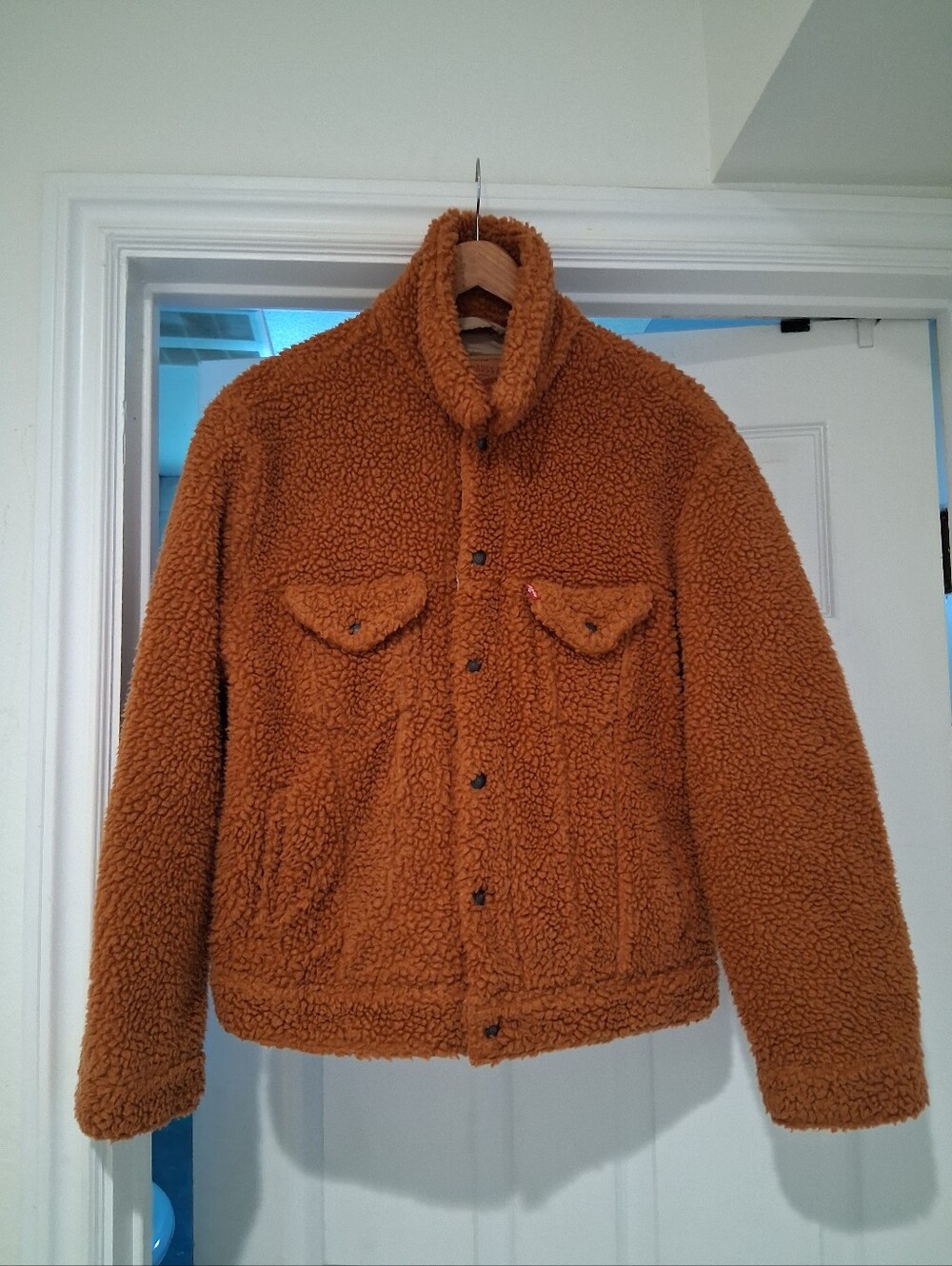 Levis's Sherpa Trucker Jacket